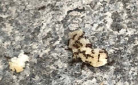 �����ռ�����300��3ƪ