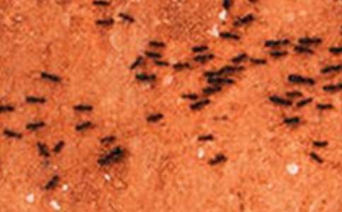 �й������ռ�����300��ʮƪ