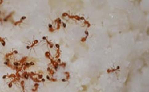 �й������ռ�����300�ּ�����ƪ