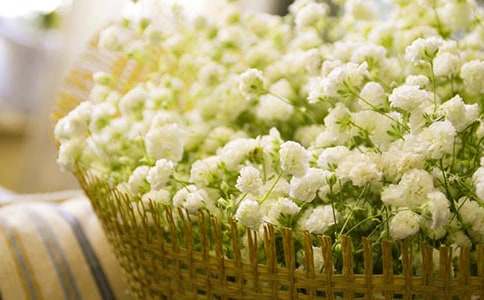 [����]����������6ƪ