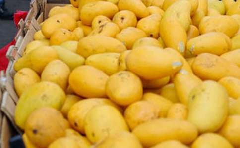 �����Ұ�â������300�ֽ���6ƪ