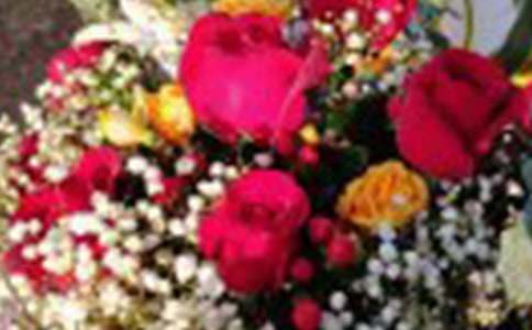 õ�廨�۲��ռ�(15ƪ)