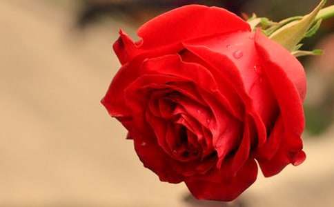 ����ѡ����д��õ��ľ���