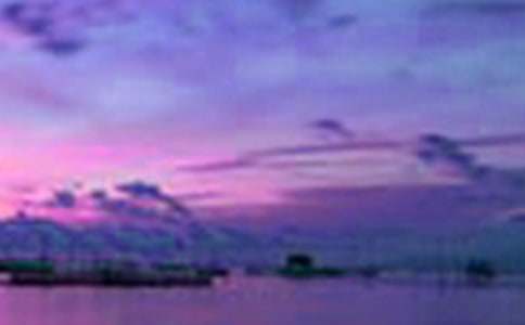 Сѧ�����꼶���������������