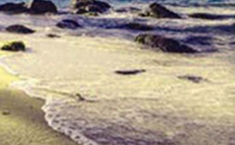 ���е�������һ����