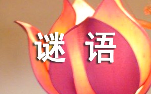 谜语大全及答案