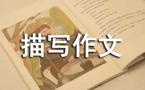 关于初三人物描写作文汇编10篇