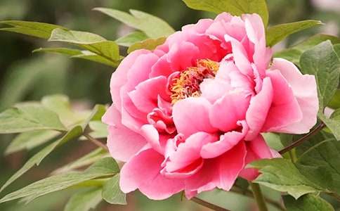 ĵ���ľܾ������