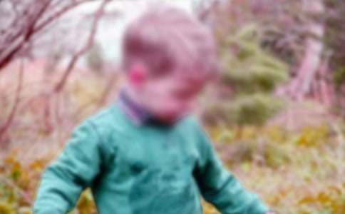 那个男孩作文500字(优秀)