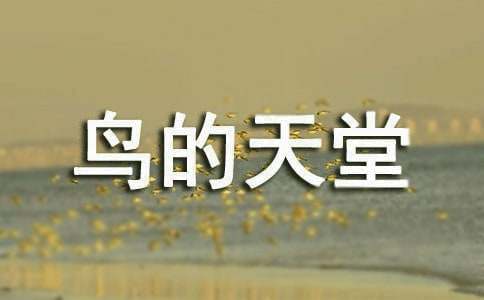 介绍鸟的天堂导游词13篇