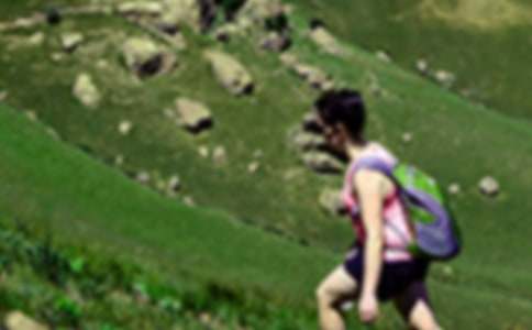 ��ɽ�ռǺϼ���ƪ