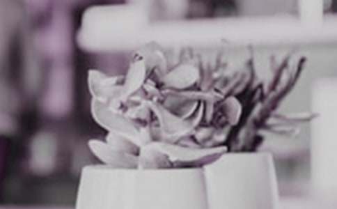 �������Բ軨��ô��