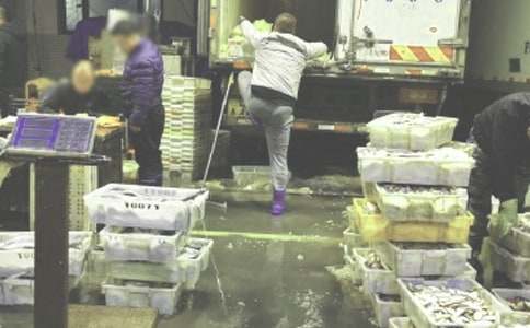 ��װ��������ܽ�