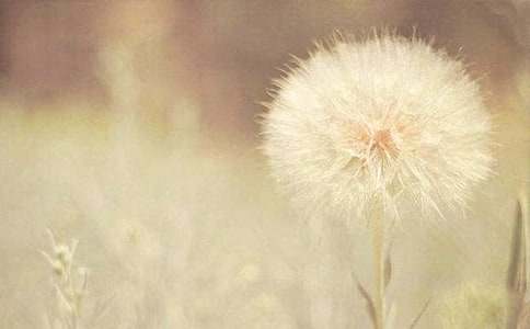 �����ѹ�Ӣ�������̾�