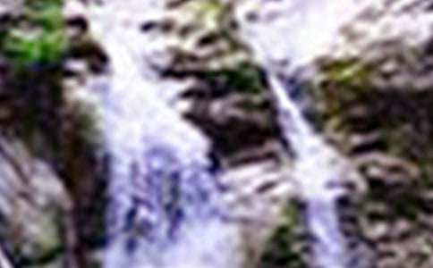 �������ٲ��񽱽̰�