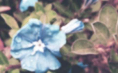 �۲�ǣţ�����ռǣ���ѡ22ƪ��