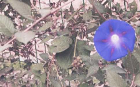 ����Ʒ��ǣţ�����꼶������ƪ