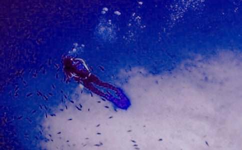 Ǳˮ�����ģ�����15ƪ��