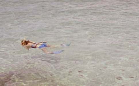 ΢��Ǳˮ��΢���йص�����650��