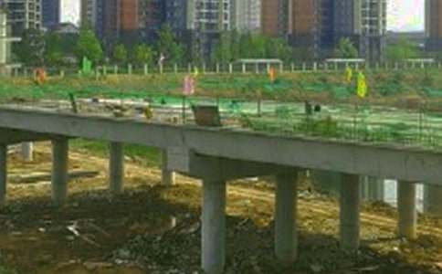 苏教版科学五年级下册《建桥梁》教案