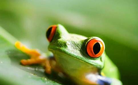 Сѧ���������ܵ����ġ�������