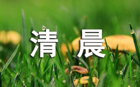 每日清晨祝福语