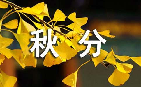 ���ʱ���ʺ����