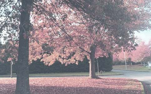 �＾��������