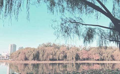 С���＾��ȫ�����ܽ�