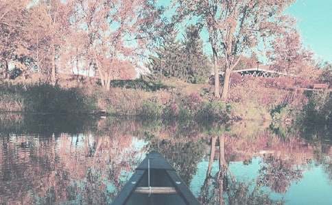 �����＾Сѧ�����ƻ�ģ����8ƪ