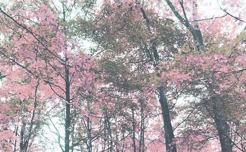 ���ݽ�ɫ�＾�ľ���