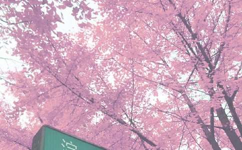 �Ұ��＾����(����15ƪ)