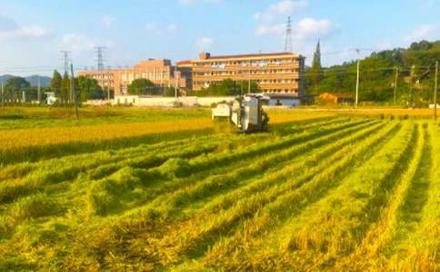 �������ռ�