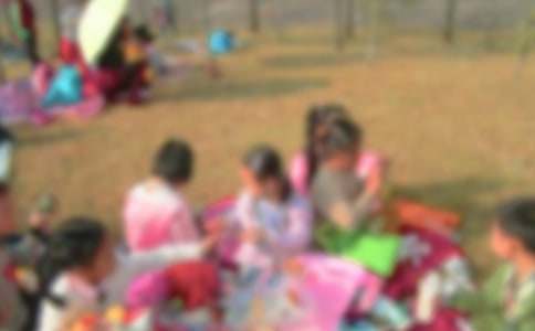 ��ѡ��������������ƪ