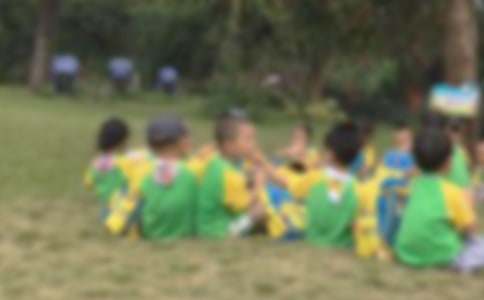 ���������ռ�15ƪ