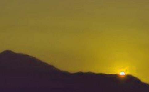 ���ճ���ף������