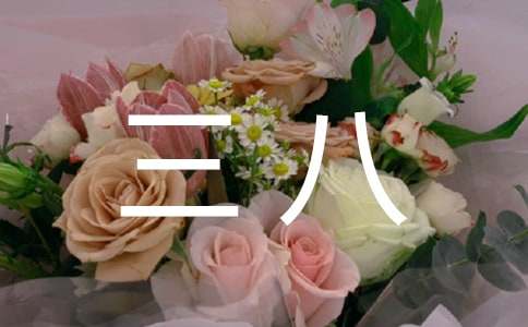 最新三八祝福语短句