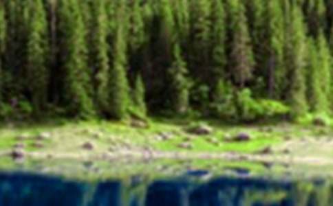 [����]ɽˮ������600��