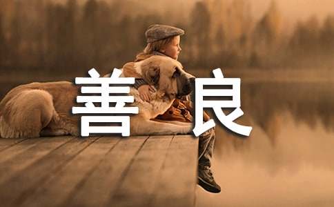 善良历险记作文