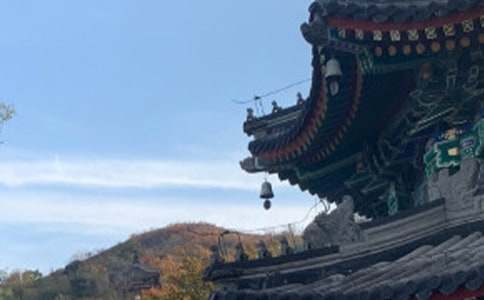 ������ǧ������500����ƪ