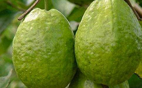 �����ϡ�ʯ�������15ƪ