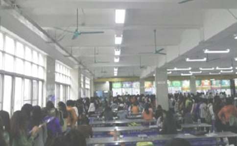 ʳ�����������ܽ�