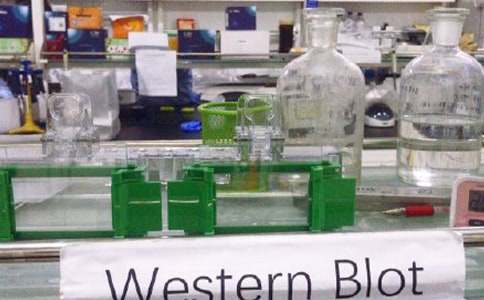 ʵ���ҵ������ܽ᷶��