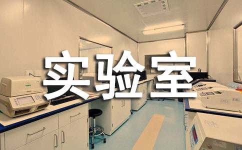 ʵ������Ա�����ܽ�