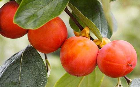 ժ�������Ļ��15ƪ