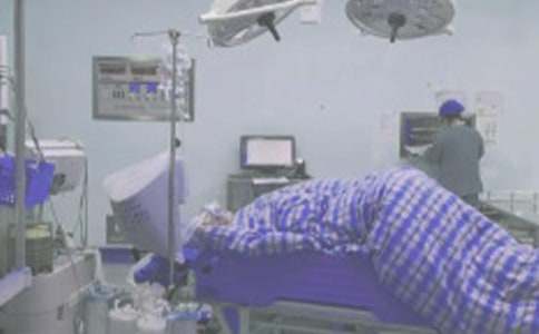 ��������ȹ����ܽ�(15ƪ)