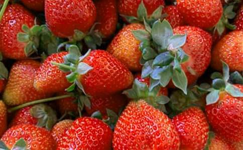 С���ѧ�̰�����ϲ����ˮ��