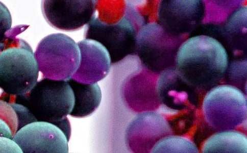 �а��ѧ��̰��������ˮ��