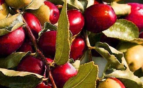 �Ұ��Ե�ˮ���̰��ϼ�8ƪ