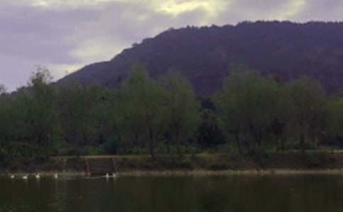 水库安全生产工作总结(3篇)